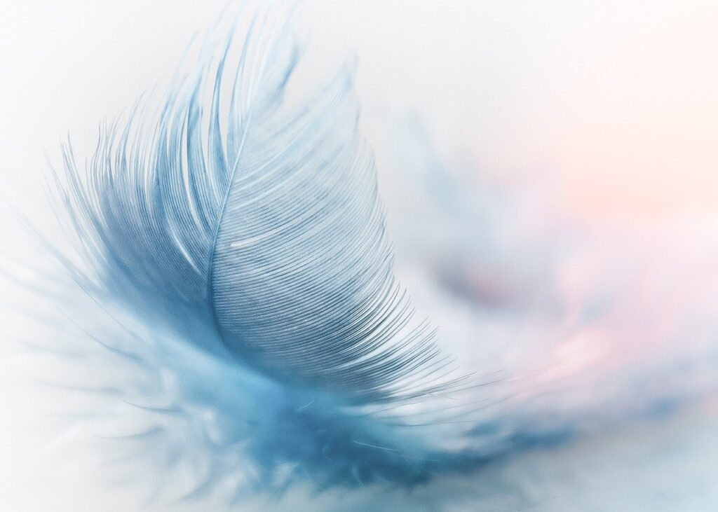 feather, ease, slightly